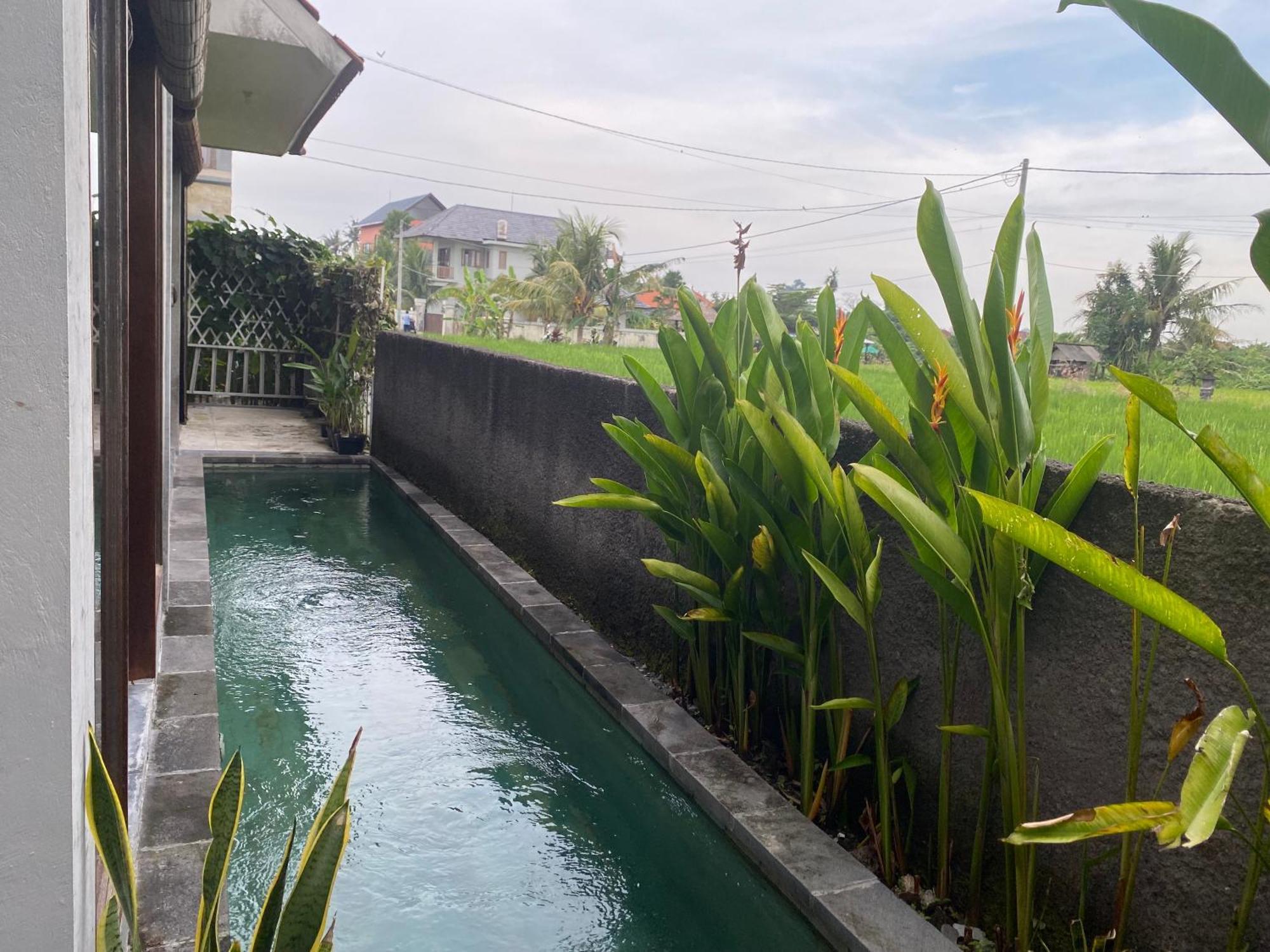 Mandala Rengganis Ubud View Private Villa By Eps Exterior foto