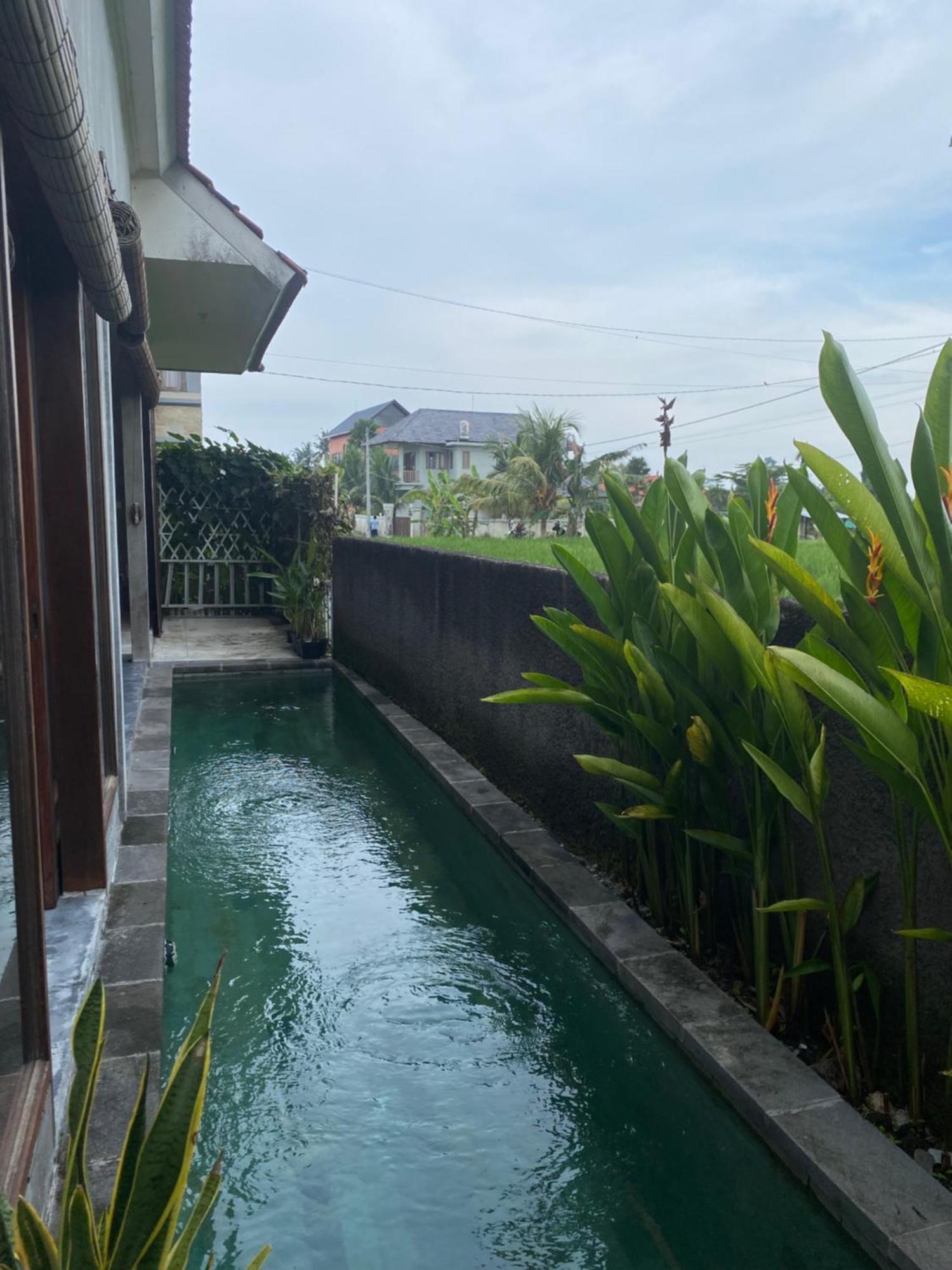 Mandala Rengganis Ubud View Private Villa By Eps Exterior foto